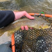 Tight Lining MD (@tightliningmd) 's Twitter Profile