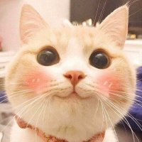 Hansprima (@hansprima1) 's Twitter Profile