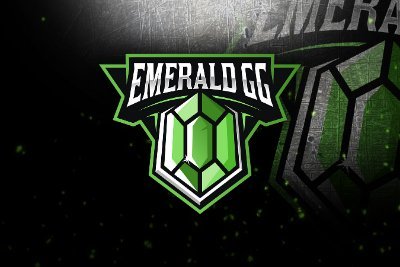 EmeraldGG is a amazing Discord Community that welcomes EVERYONE! We are a family!  Invite: https://t.co/Bk4kzBNWyJ