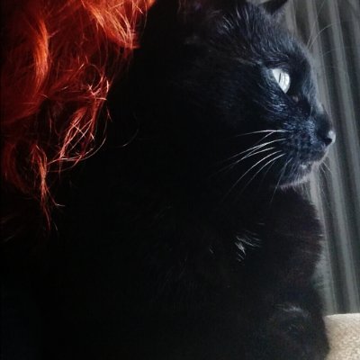 Καληνύχτα, Κεμάλ...