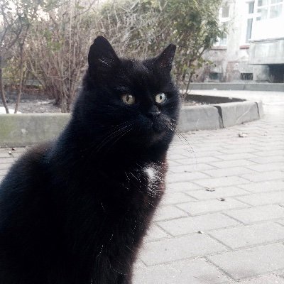 FrancisLow7's profile picture. 