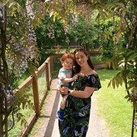 Dawn (@dawncollis1) 's Twitter Profile