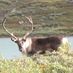 OutdoorBlogNews (@outdoorblognews) Twitter profile photo OutdoorBlogNews (@outdoorblognews) Twitter profile photo