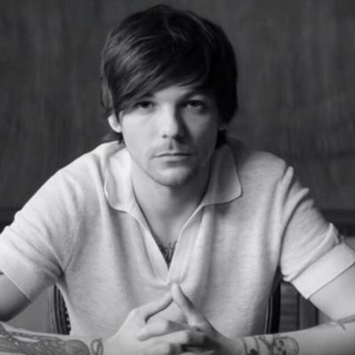 hi my Name is Sadie and i am proud to be a Directioner I have been for 10 years I'm waiting for their reunion I'm thier biggest fan. 💞💞💞💞💞