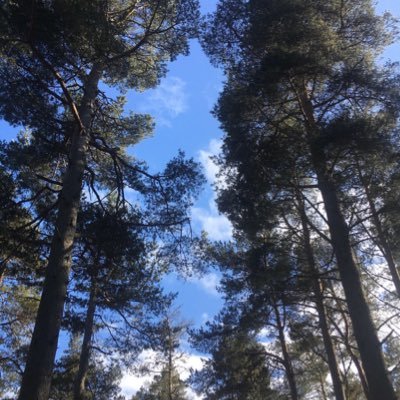 AnnMurp69463492's profile picture. Mother, Daughter, Sister, Aunt, Lioness, Catholic, Freelancer, Virtual Assistant. @ATM_Virtual