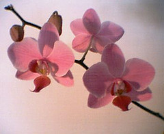 JudithW83's profile picture. 