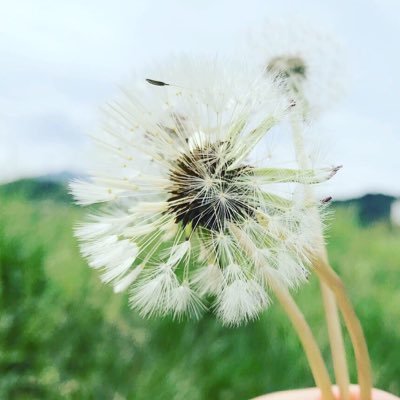 KaedeSaya's profile picture. 子ども4人🧡源活そろそろ復活😌 #こどもえがおプラットフォーム 実行委員会メンバー 🌈子どもたちに素顔の笑顔を✨😊今は子どもたちに良い日本を残したくて活動中🌟