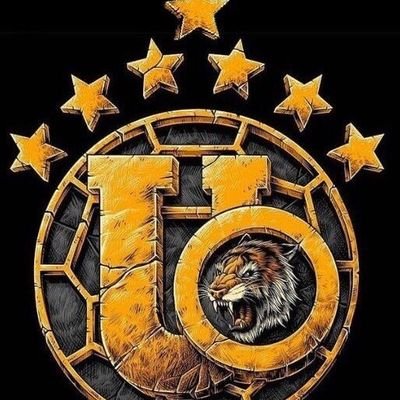InINFINITUM's profile picture. TIGRE DE CORAZÓN