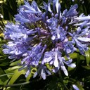 Grace Crowder - @grace_crowder - Twitter