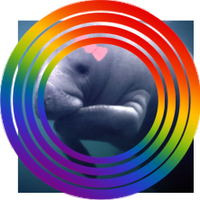 Womanateee (@womanateee) 's Twitter Profile Photo Womanateee (@womanateee) 's Twitter Profile Photo