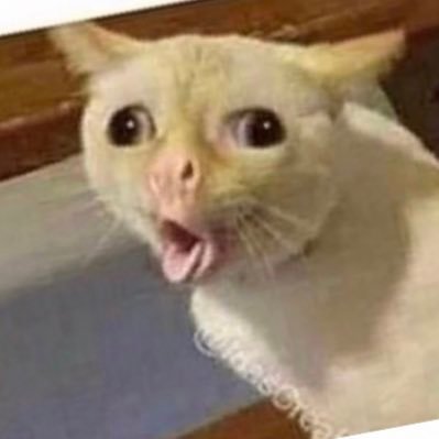 FinTelfer's profile picture. boi