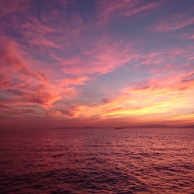 yassy316's profile picture. 