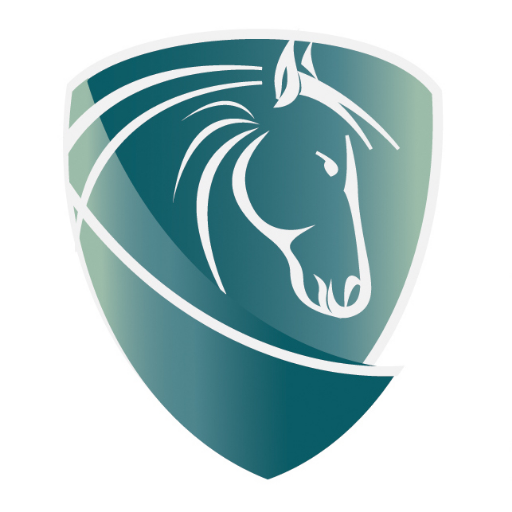 We provide equine therapy services to traumatized and other individuals needing therapeutic services, who cannot otherwise obtain them.