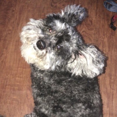 BrianBrinkerho1's profile picture. father of four. incredible wife. trying to live each day to its fullest.