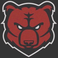 Bunker Hill Bears FB (@bhhsbearsfb) Twitter profile photo