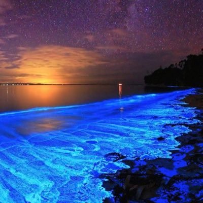 sara65131410's profile picture. A dreamer.