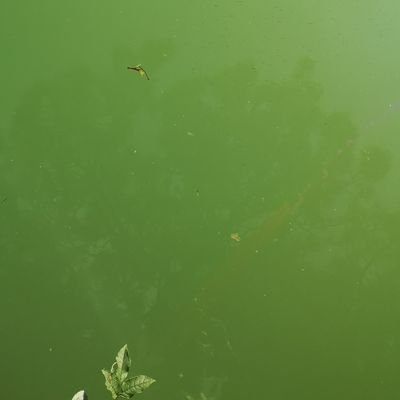 TRAORE2080's profile picture. 