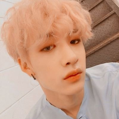 awakenstraykids Profile Picture