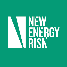 New Energy Risk