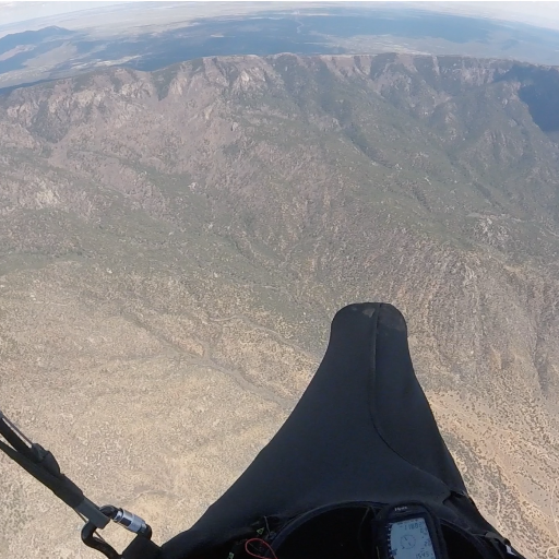 macofromoc's profile picture. JELLLYFISH