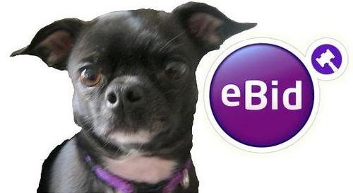 e bid store