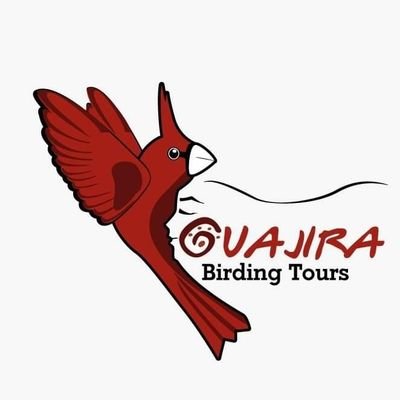 Guajira Birding Travel