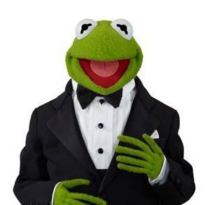 KermitSwag's profile picture. 
