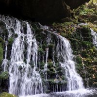 たんぱ (@mliverpool71) Twitter profile photo