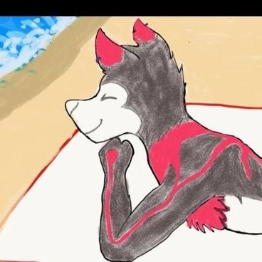 Hey I'm a furry. Name is Kaden Moonfang. I'm not a great artist but I try. I love and support all furries. RP is always welcome!!!