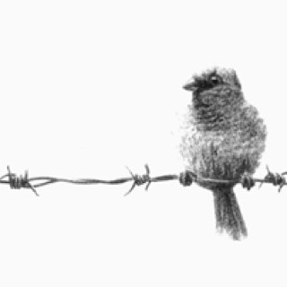 Tweetisticated's profile picture. woke up one morning, opened my eyes. Then started breathing and will 'till I die...