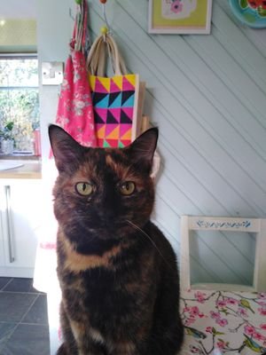 MarcusHodson5's profile picture. Now living in South Lakeland Cumbria. I'm here for the beer food and hiking all sublime.