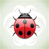 smburns72's profile picture. 