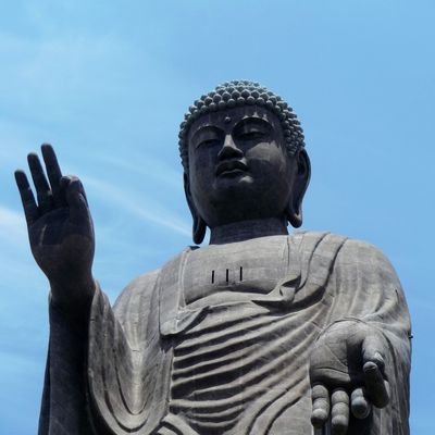 ChikumaroP's profile picture. 弱小暗号資産（仮想通貨）botから弱小競馬予想AIへ転身ｗ
暗号資産botの成績
2018年：年次-20万
2019年：年次-31万
2023年：年次‐4万
2024年：年次-21万
2025年：年次-2.3万（半年持たずに終了ｗ）
南無阿弥陀仏〜