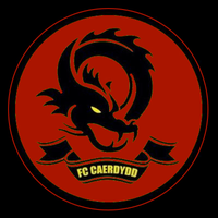 Real Caerdydd FC (@realcaerdydd) 's Twitter Profile