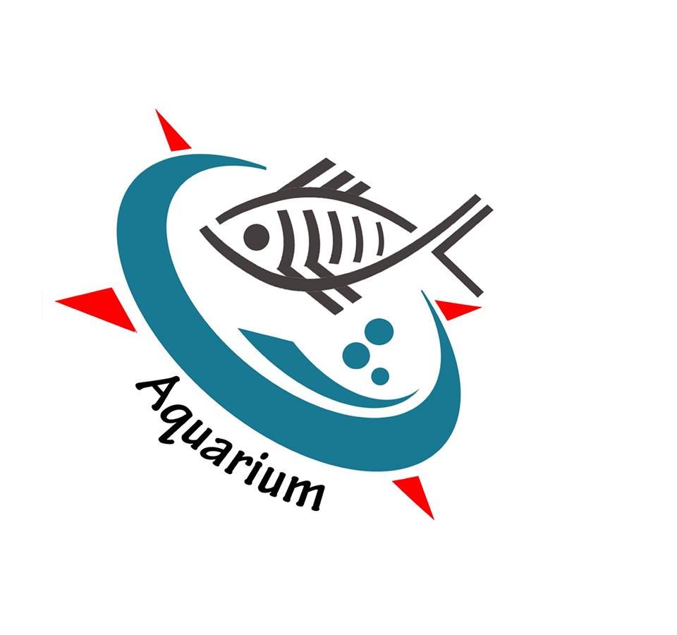 Exporter of Tropical ornamental fish and invertebrates