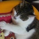 くわ - @barbara_sabo - Twitter