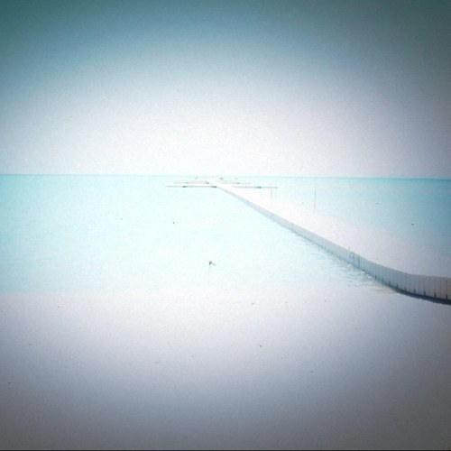 kokiym0821's profile picture. 