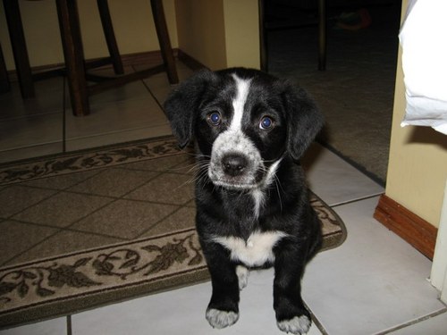 mstlvdg's profile picture. 