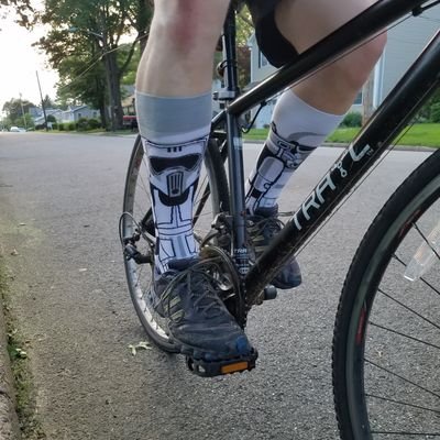 davezilko's profile picture. 