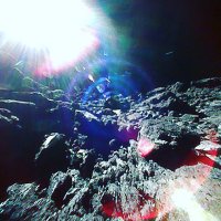 Srivats Iyer (@siyer7) 's Twitter Profile