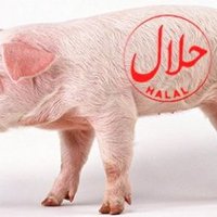 🅷🅾🆄🆂🅲🅷🅸🅴 (@houschie1) 's Twitter Profile Photo