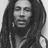 bot_marley's profile image