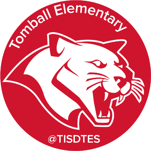 TISDTES Profile Picture