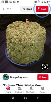 patriot_care's profile picture. Care Patriot's WadilyL RMM Sign up:

Recreational Marijuana Membership (RMM) required #NETA #SIRA