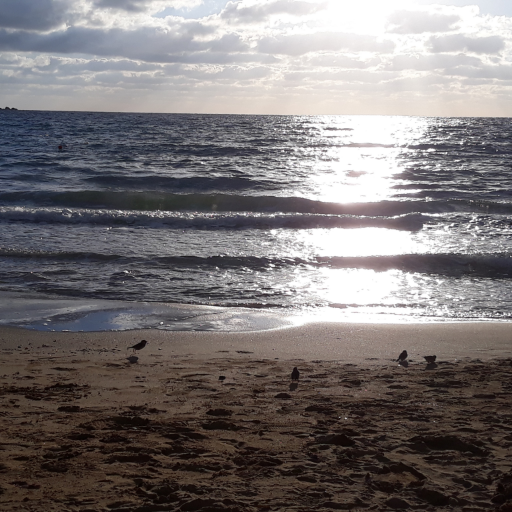 Anni99228760's profile picture. Theology student who loves God and life, who believes in the beauty of God present in all human beings and in all creation and seeking to deepen roots in Christ