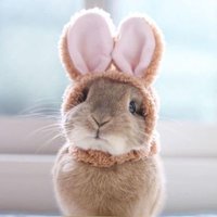 Eigengrau (@nauseam_) 's Twitter Profile Photo