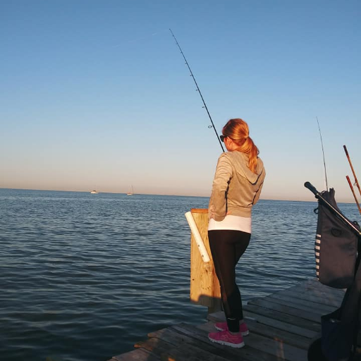 lizframe86's profile picture. 