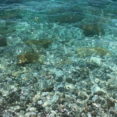 Brookepetkov's profile picture. 