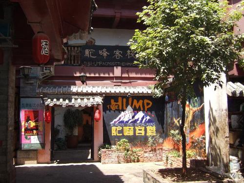 thehumphostel's profile picture. 