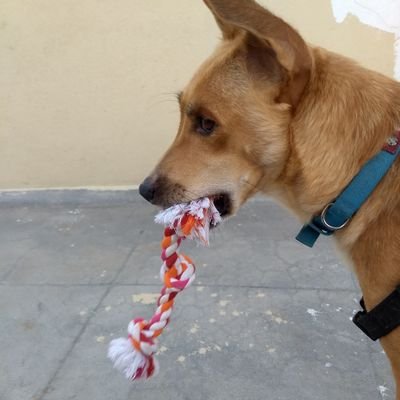 ANJALI161987's profile picture. BOOK LOVER, WRITING,MUSIC,MOVIES